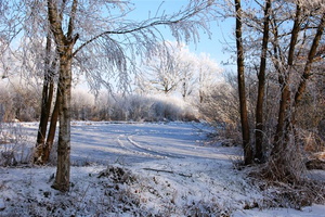 090109-wvdl-winter in HaDee  04 